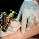 Illustration for article titled A Tattoo Could Save Your Life